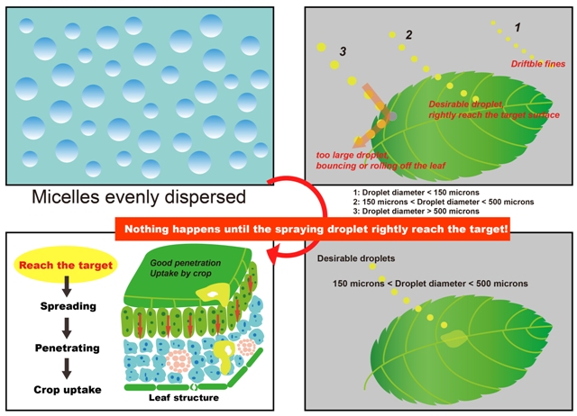 droplet diameter affect the deposition on leaf surface